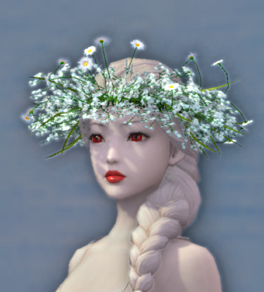 Wildflower Crown